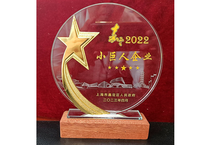 2022年幼巨人企业